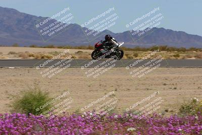 media/Mar-12-2023-SoCal Trackdays (Sun) [[d4c8249724]]/Turn 15 Inside Bloom (130pm)/